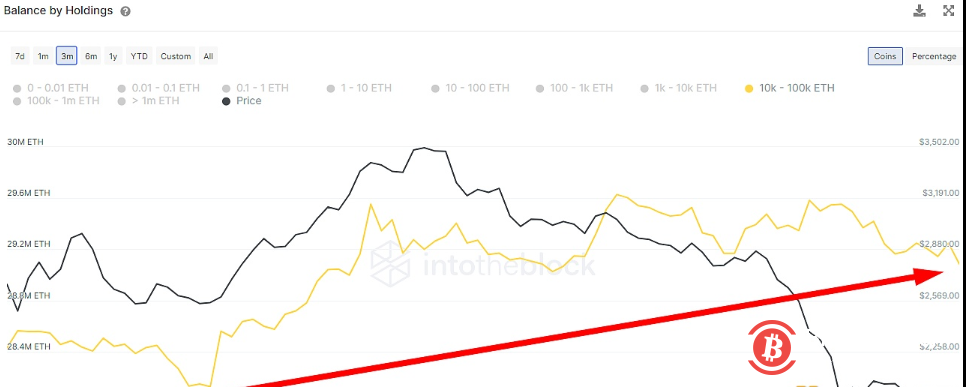 数据:三月以来以太坊巨鲸地址增持近70万枚ETH