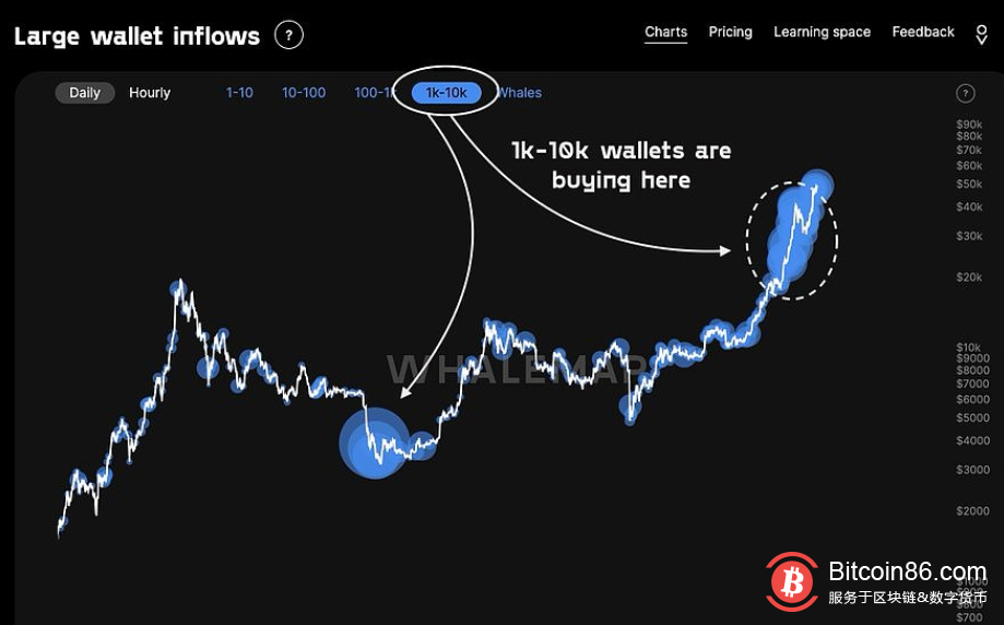 Joseph Young:比特币的涨势比以前的牛市周期更具可持续性