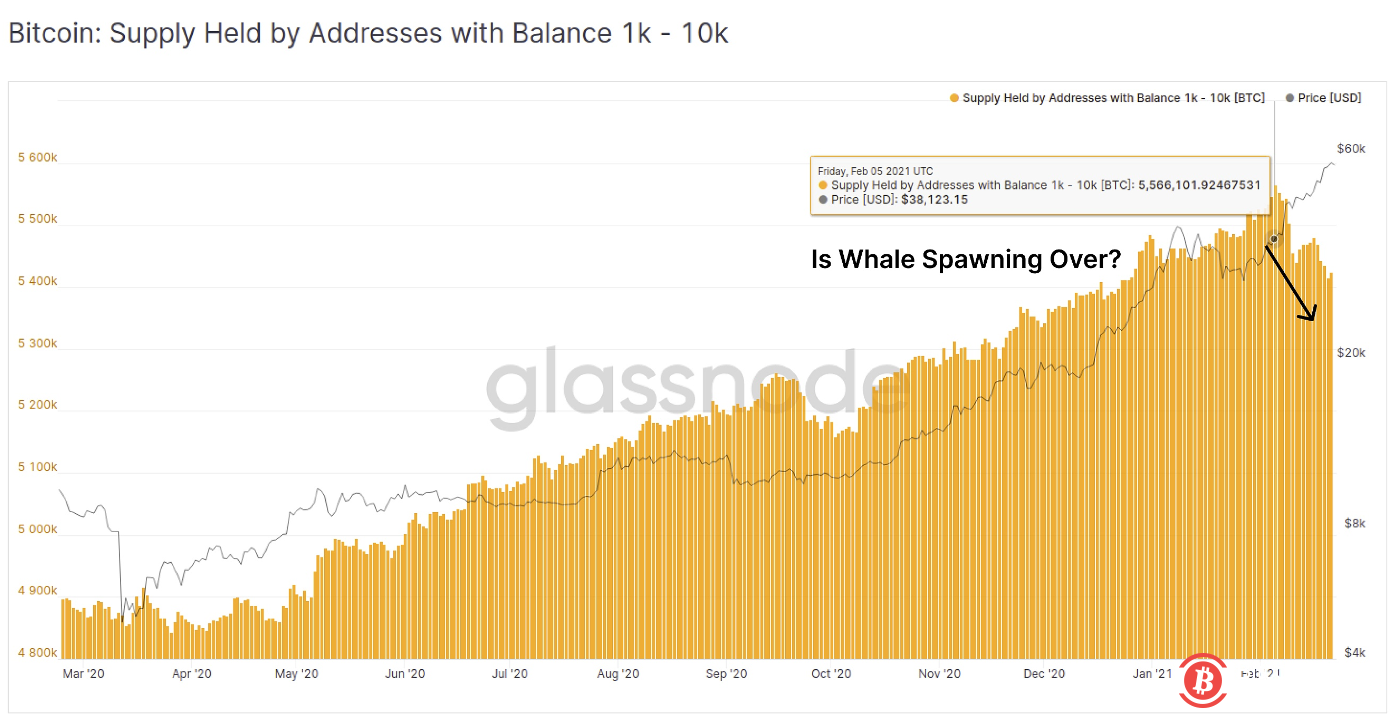 数据:加密巨鲸本月初以来抛售14万枚比特币