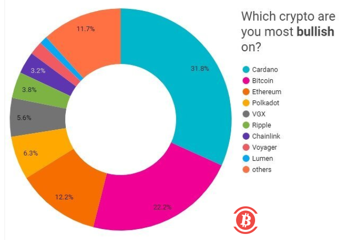 美国散户投资者更看好Cardano而非比特币 比特币鲸鱼正大举“逢低买入”