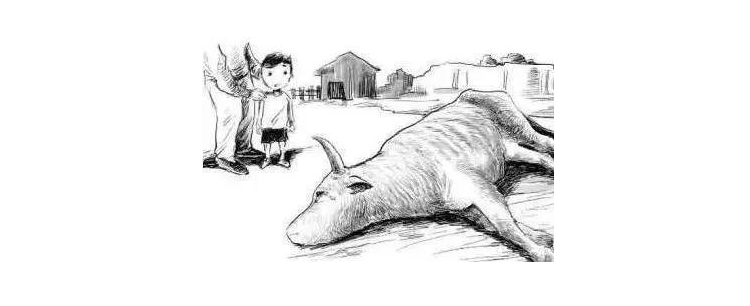 暴跌5000刀!爆仓过百亿!你选择“割肉”、“躺倒”还是“继续冲”?