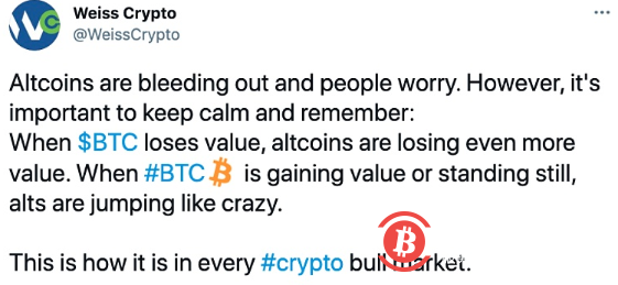 韦氏评级:当比特币失去价值时,山寨币会失去更多价值