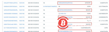 Vitalik Buterin 钱包里的 “隐藏财富”