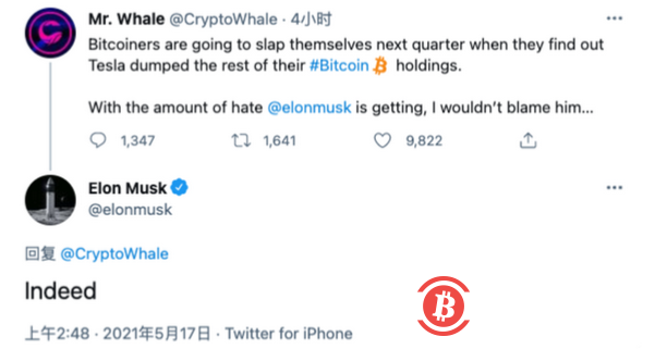 马斯克坑惨了!美图刚入手虚拟货币,大跳水就来了