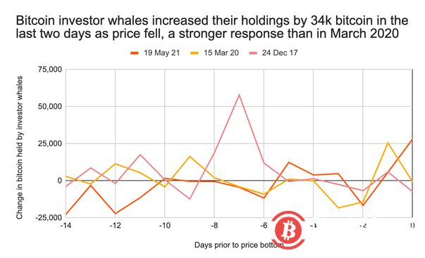 市场暴跌原因解析:散户抛售推动了价格暴跌