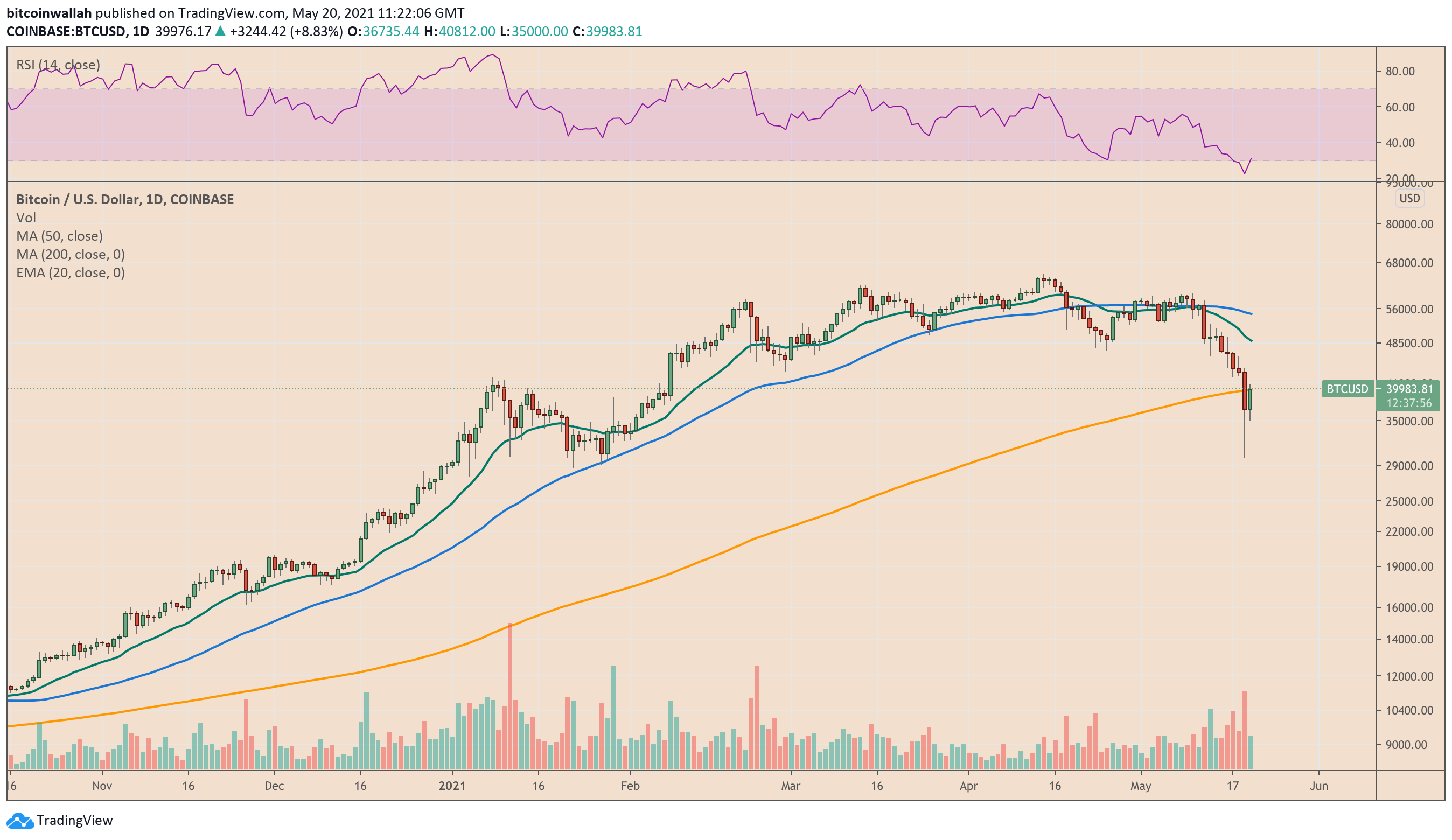 告别“山寨季”?分析师称大跌之后,交易者重新转向比特币