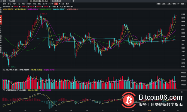 加密货币在俄乌战争当天暴跌,号称“避险资产”的比特币怎么了?