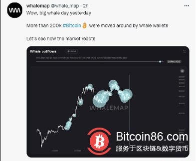 比特币上涨过程中巨鲸钱包内超20万枚BTC发生移动 或与交易所整理钱包有关
