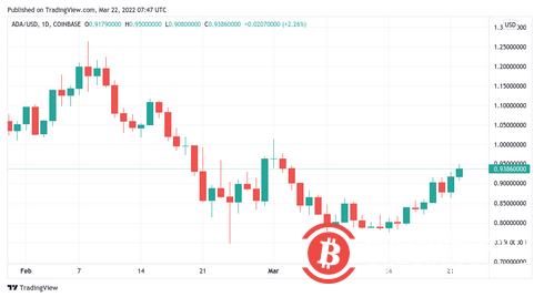随着新推动力将价格推高至43300美元,比特币触及3周新高