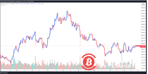 比特币多头瞄准 45,000 美元, 比特币多头瞄准 45,000 美元,而一些分析师警告可能出现回调