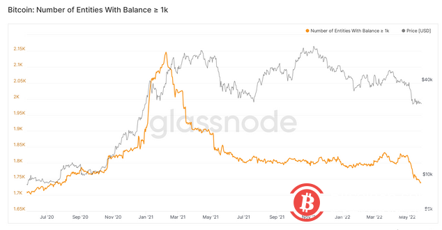  分析：较小的比特币鲸鱼可能会使比特币价格免于“投降式抛售” 