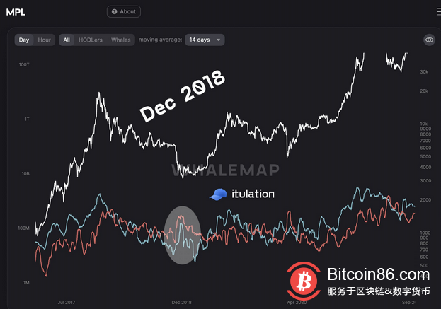  分析：较小的比特币鲸鱼可能会使比特币价格免于“投降式抛售” 