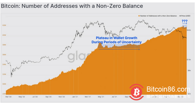  链上数据显示：比特币长期持有者继续在3万美元“吸收供应” 