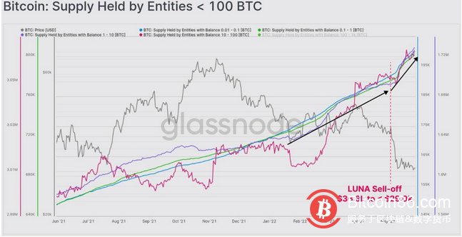  链上数据显示：比特币长期持有者继续在3万美元“吸收供应” 