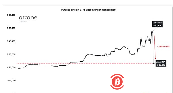  加密市场崩溃时 谁在卖出比特币？
