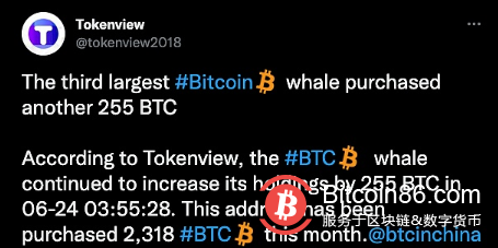  数据：第三大BTC鲸鱼再次购买255 BTC，该地址本月已购买2,318 BTC。 