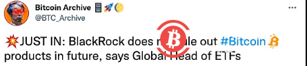  贝莱德全球ETF主管：不排除未来会有比特币产品出现 