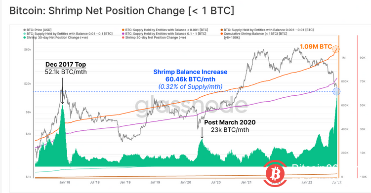 熊市漫漫 唯有HODLer才能笑到最后