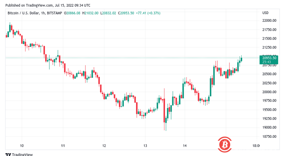 随着比特币价格接近2.1万美元，比特币鲸鱼们仍在“冬眠”