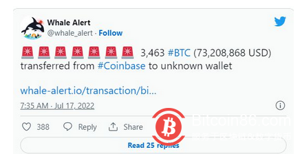 什么是比特币观鲸以及如何追踪比特币鲸鱼？