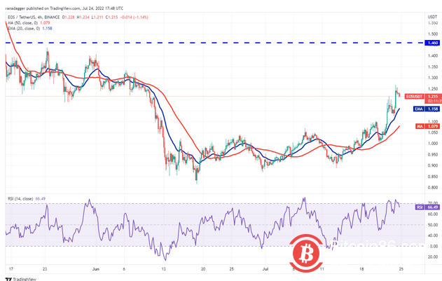  本周最值得关注的 5 种加密货币：BTC、ETH、BCH、AXS、EOS 