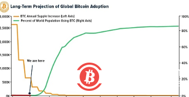 预测：全球比特币采用率将在2030年突破10% 