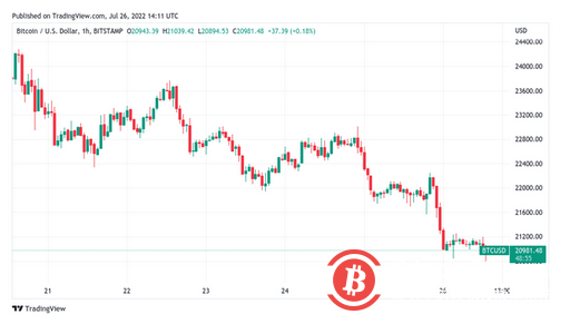 在新的 100 万美元 BTC 价格预测中,称比特币跌破 21,000 美元