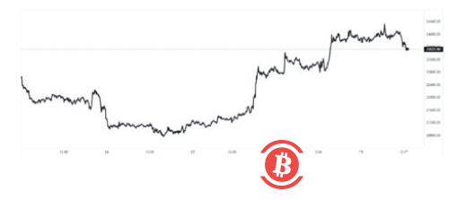 随着交易所鲸鱼比率下降，比特币突破 24,000 美元