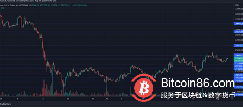 比特币价格触及 23300 美元，看跌论点会失效吗？