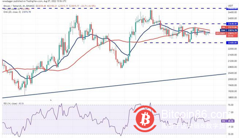 本周值得关注的 5 大加密货币：BTC、FLOW、THETA、QNT、MKR