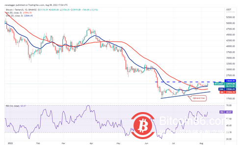 价格分析 8/8：BTC、ETH、BNB、XRP、ADA、SOL、DOGE、DOT、MATIC 