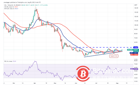 价格分析 8/8：BTC、ETH、BNB、XRP、ADA、SOL、DOGE、DOT、MATIC 