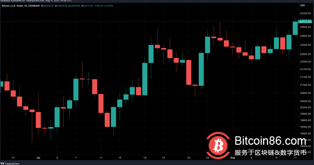 “比特币家族”熊市亏损 100 万美元，他们的下一步是什么？ 