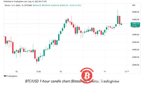 由于看跌的声音称 BTC 价格为“双顶”，比特币达到 25,000 美元