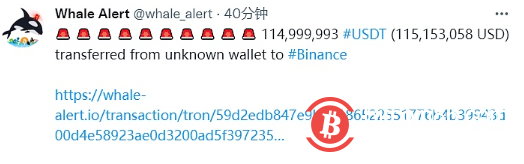  数据：约1.15亿枚USDT从未知钱包转移到Binance 