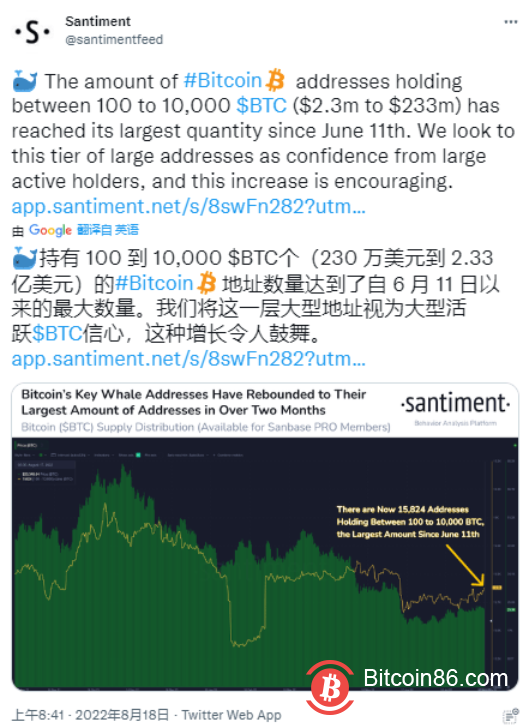  随着鲸鱼增持比特币价格上涨，比特币价格会达到25000美元吗？ 