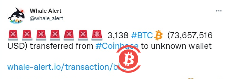 3,138枚BTC从Coinbase转移到未知钱包 