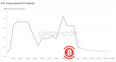 比特币的财力雄厚的投资者正在这样做，但你应该保持谨慎