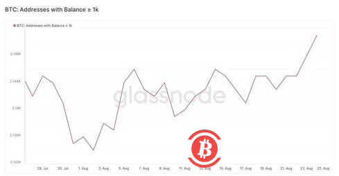 比特币的财力雄厚的投资者正在这样做，但你应该保持谨慎