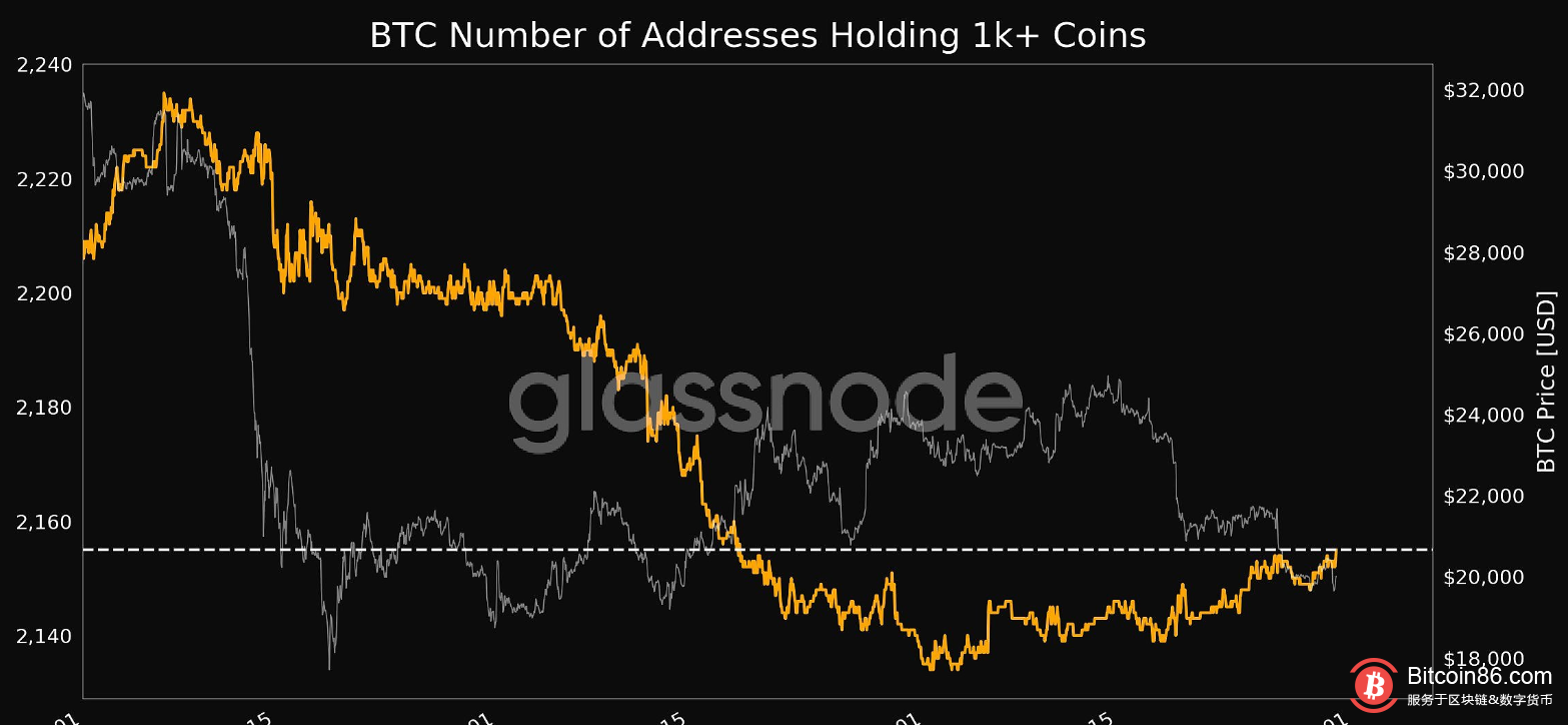 持有1000枚以上BTC的地址数量达到1个月高点 