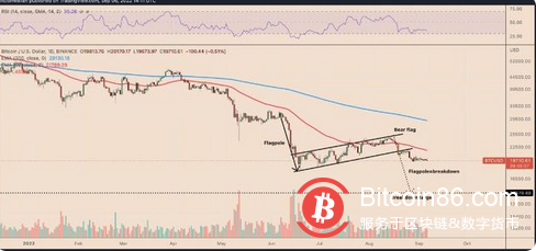 比特币闪崩频发！美元持续走强！“现金为王”成为市场趋势？