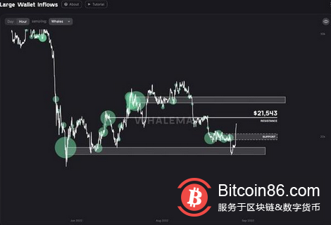 比特币价格接近 2.17 万美元，因为鲸鱼“几乎完美地”提振比特币