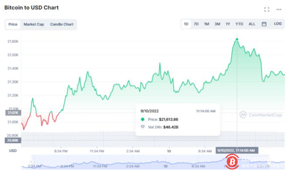 比特币价格回升 21,000 美元,但BTC能否反弹回 25,000 美元以上