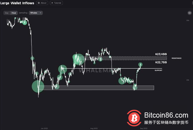 由于 BTC 面临美国 CPI 数据，比特币与 22,000 以上的鲸鱼作战