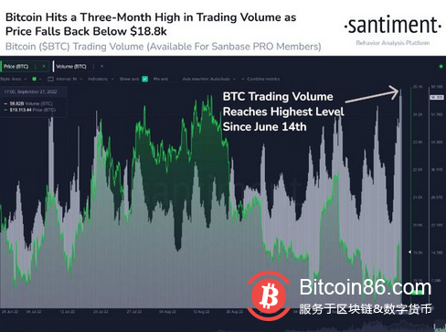 暴涨暴跌:比特币 (BTC) 崩盘,交易量创 3 个月新高