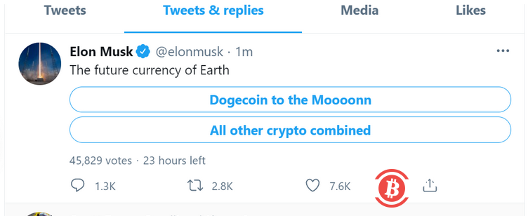 埃隆·马斯克在推特发起关于狗狗币的调查 