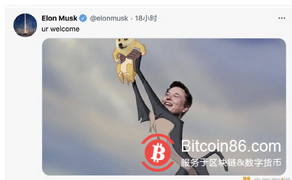  狗狗币最高暴涨10倍 马斯克发起投票 130万人里有70%跟着“疯”