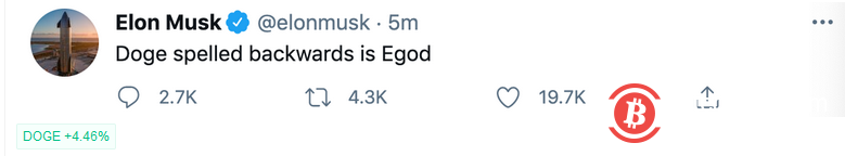 马斯克发推再提狗狗币