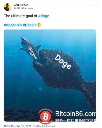 在海外韭菜眼中，狗狗币才是真正的「比特币」