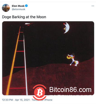 在海外韭菜眼中，狗狗币才是真正的「比特币」